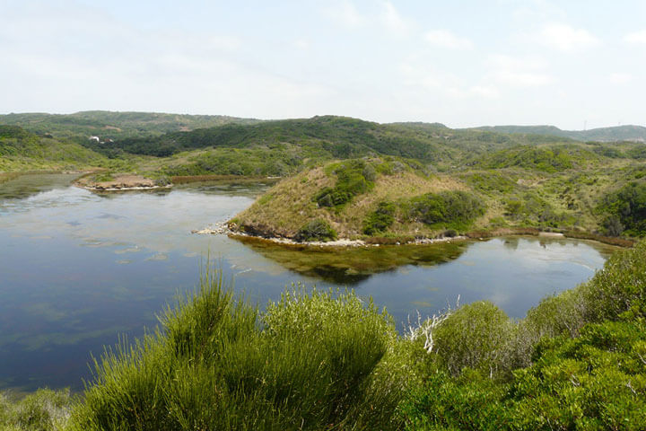 pescaturismemenorca.com excursions en vaixell Albufera des Grau Menorca